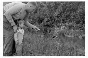 The author and her father encounter a deer.