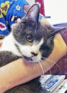 Jolene