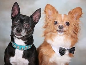 Mikey and Mitzi