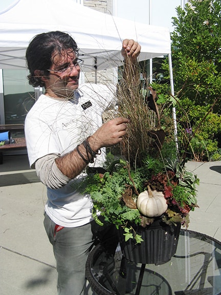 web-garden-IMG_1611 paul