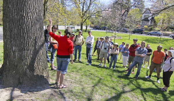Tree walk_5666