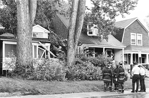 Violet Avenue tree crash, 1979