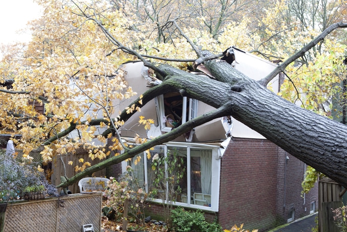 HurricaneSandyDamage-3452