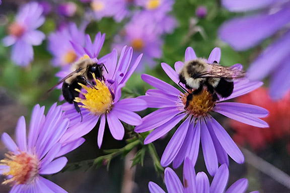 Sorry! Image not available at this time